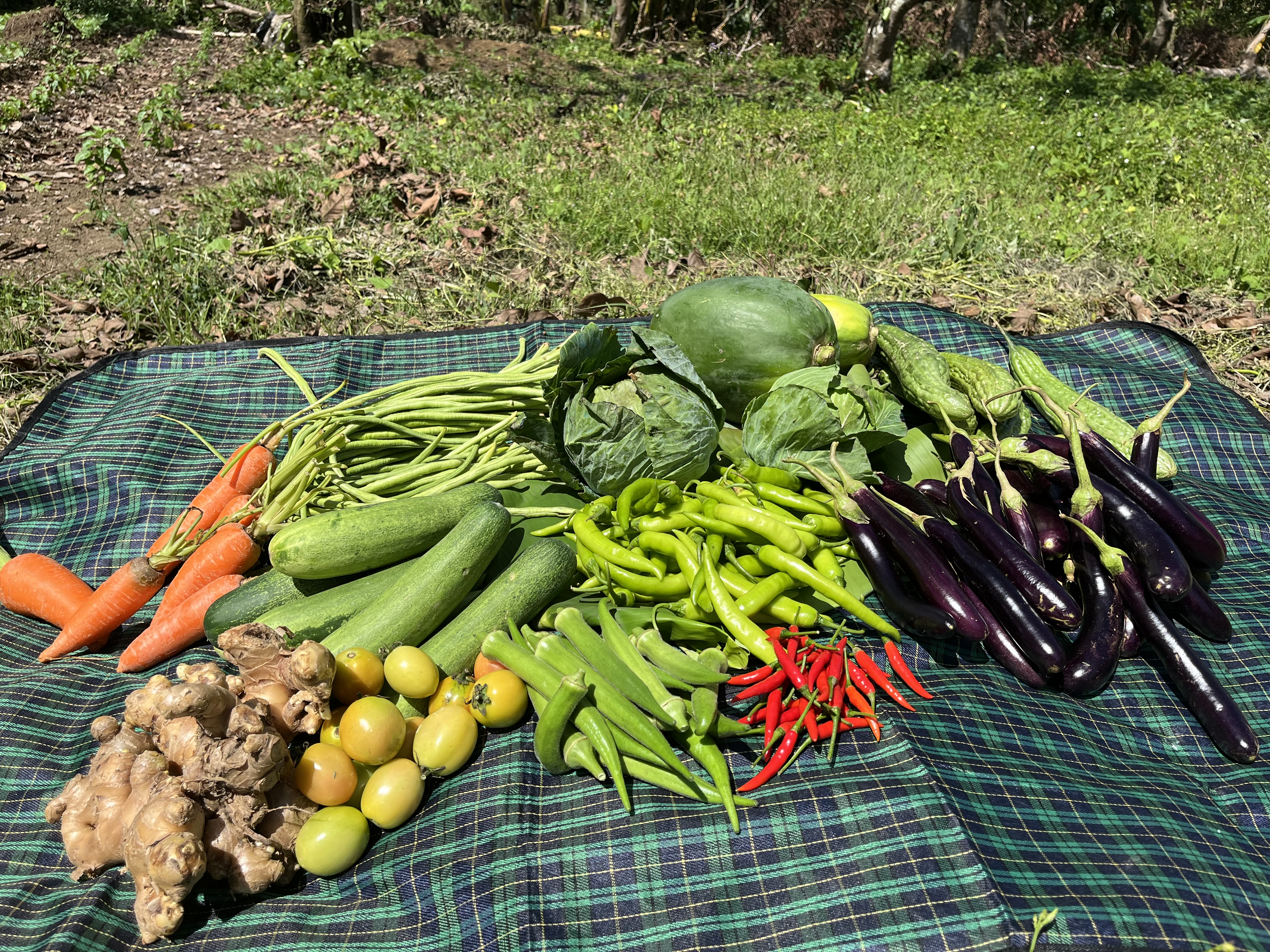 Fresh farm produce from RedN Greens